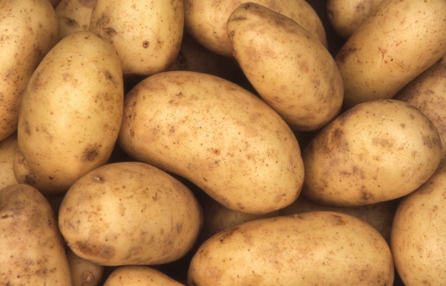 A picture of potatoes.