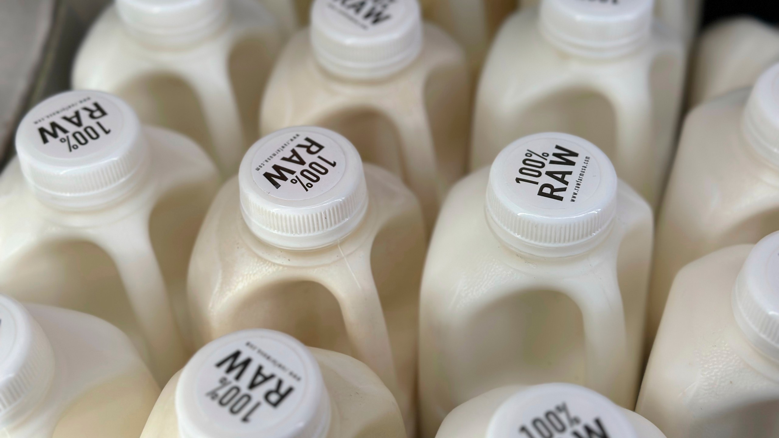 FILE - Bottles of raw milk from from Raw Farm of Fresno, Calif., are displayed for sale at a store in Temecula, Calif., on Wednesday, May 8, 2024. Dozens of salmonella illnesses have been linked to raw milk from the farm, a far wider outbreak than previously known, even as health officials have warned the public to avoid unpasteurized milk due to growing cases of bird flu circulating in U.S. dairy cows. The outbreak ended May 4, California officials said Wednesday, July 10, 2024. (AP Photo/JoNel Aleccia)