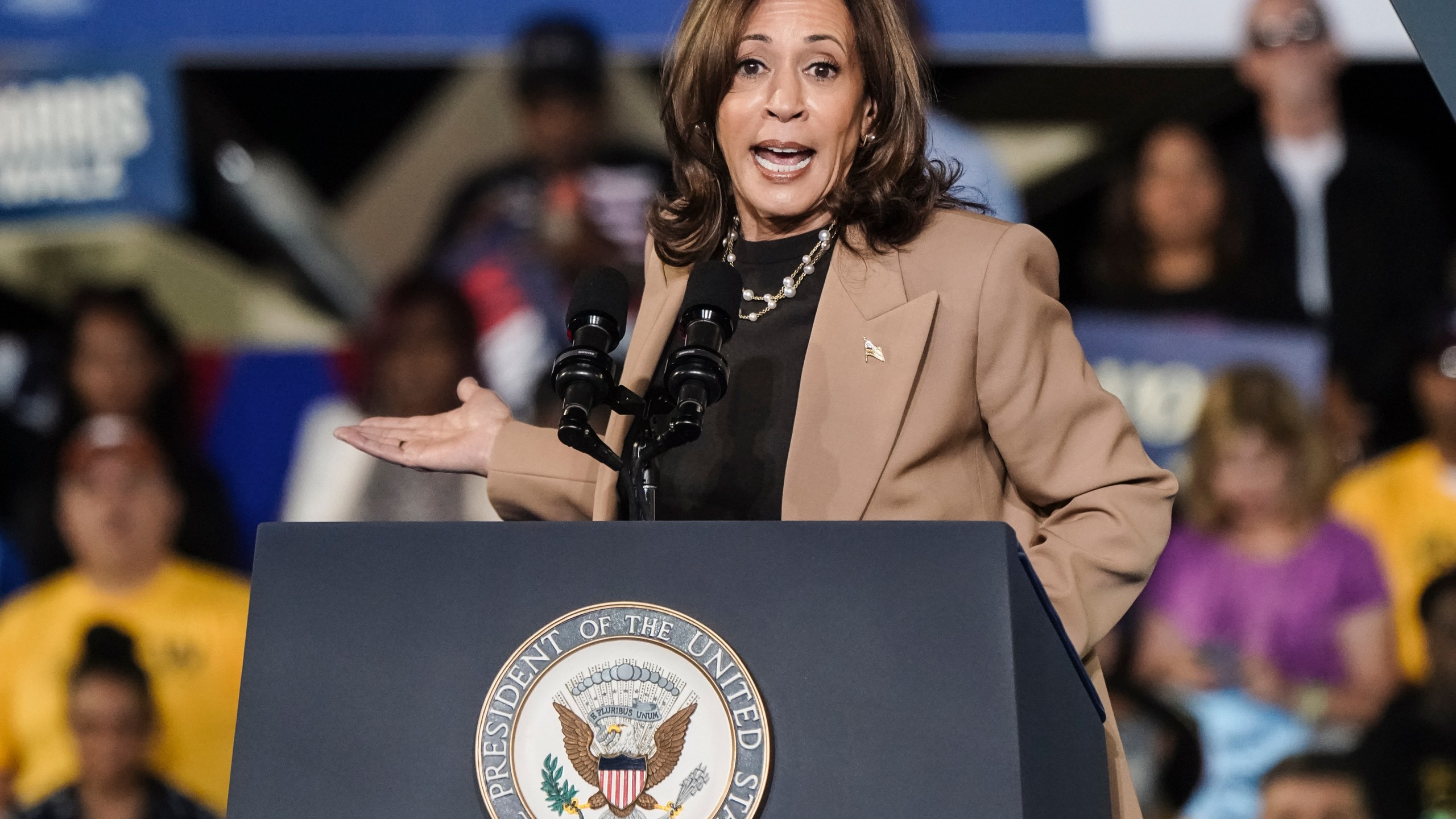 Kamala Harris is pictured at a rally.