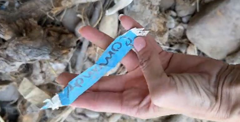 A paper bracelet cartels use to track migrants, according to law enforcement, seen here in October 2024.