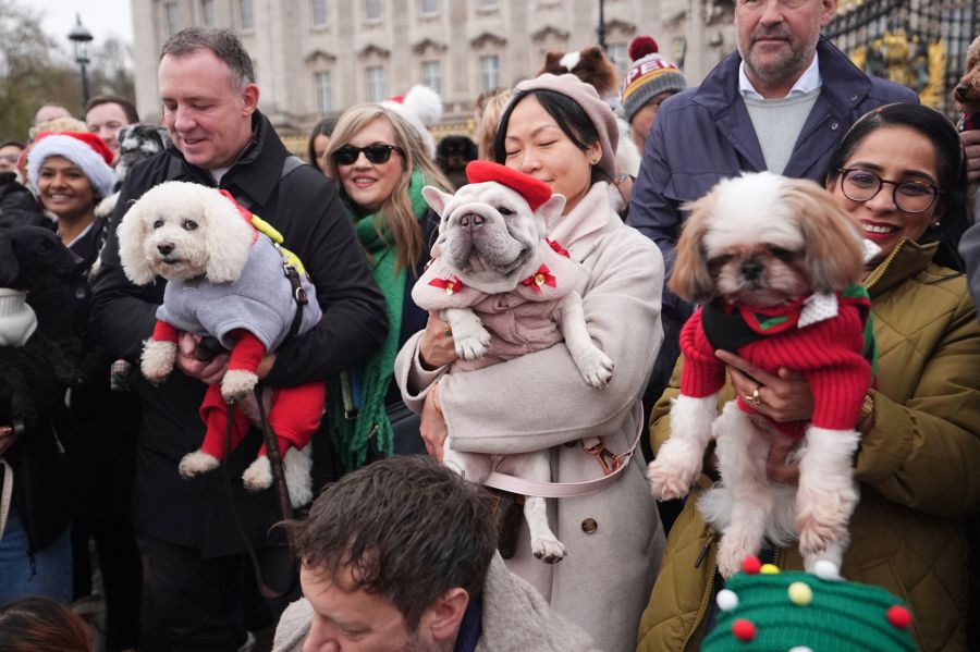 People and dogs take part during the Rescue Dogs of London and Friends Christmas Jumper Parade, outside Buckingham Palace in central London on Saturday Nov. 30, 2024. ( James Manning/PA via AP)