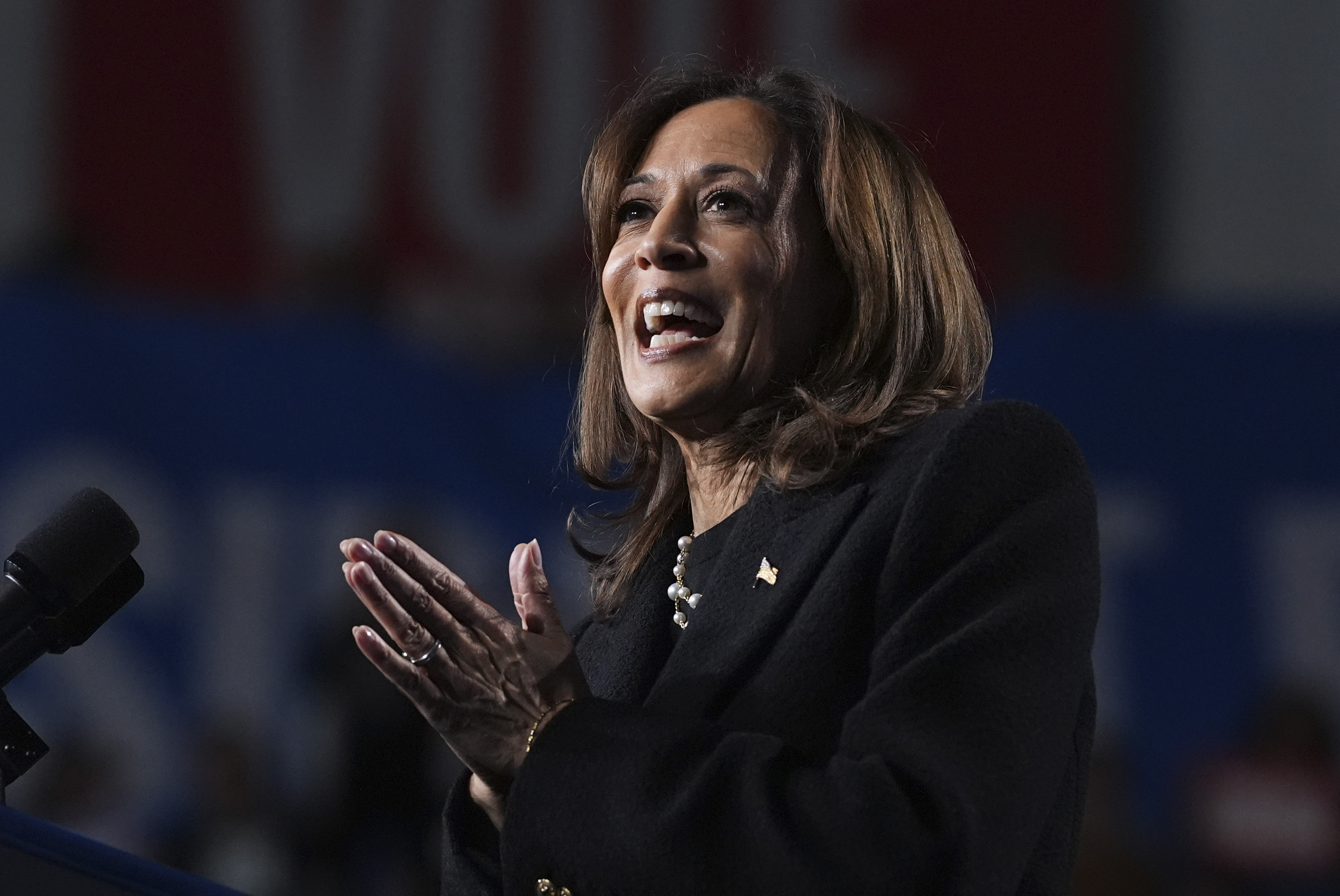 Kamala Harris speaks at a rally.