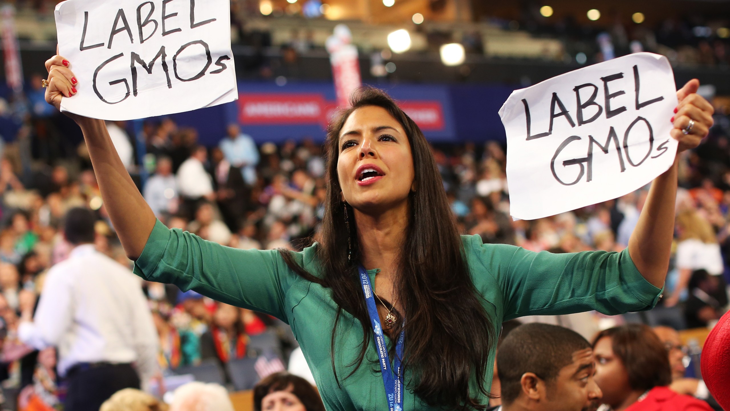 Vani Hari at the 2012 Democratic National Convention.