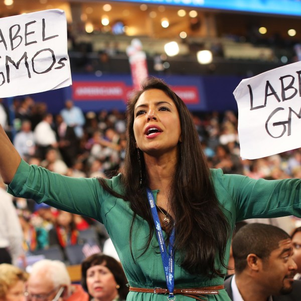 Vani Hari at the 2012 Democratic National Convention.