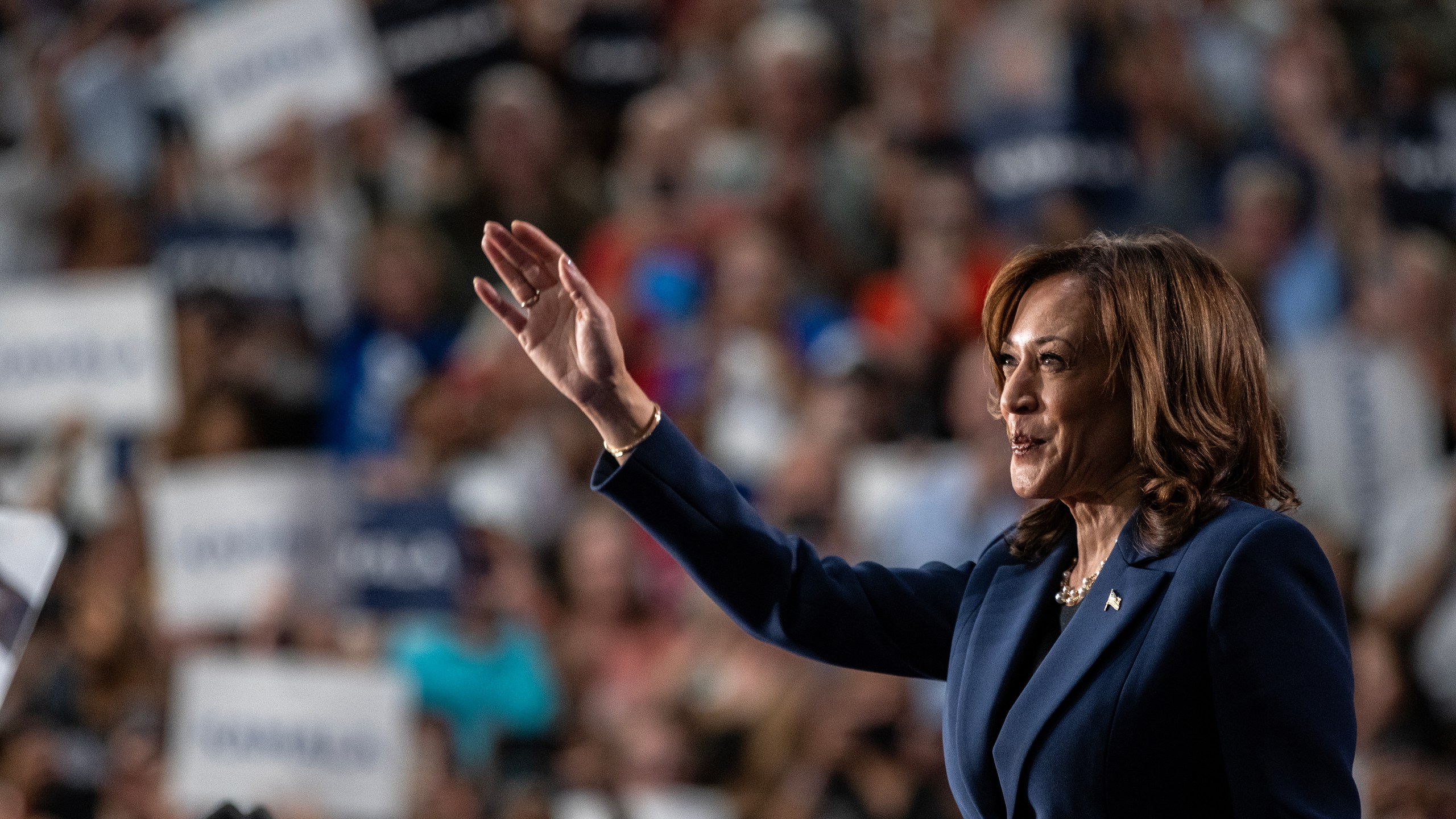 Kamala Harris speaks at a rally.