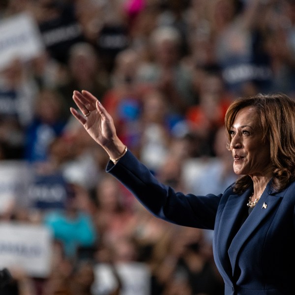 Kamala Harris speaks at a rally.