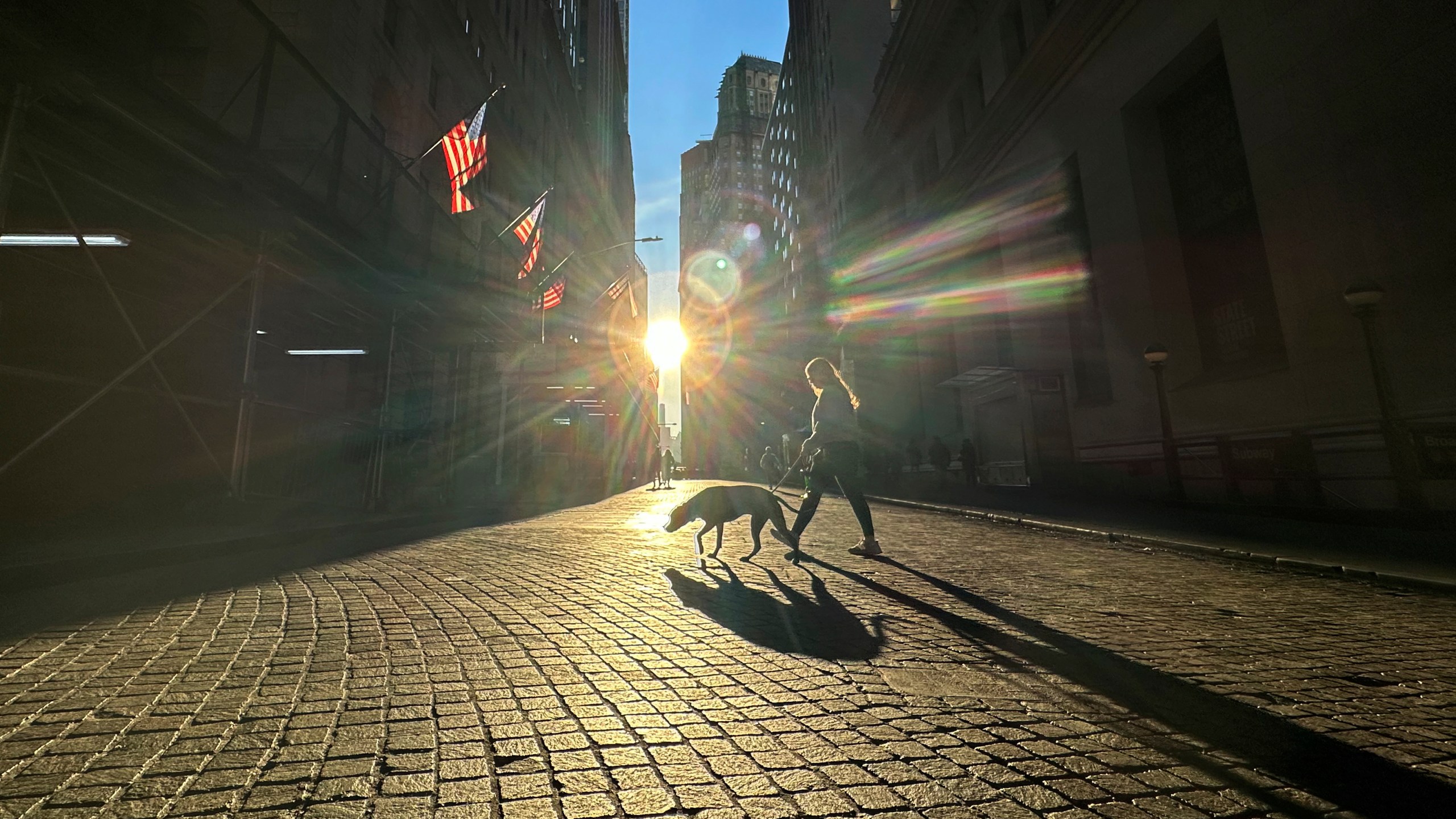 FILE - A woman and dog cross Wall Street in New York's Financial District on Nov. 19, 2024. (AP Photo/Peter Morgan, File)