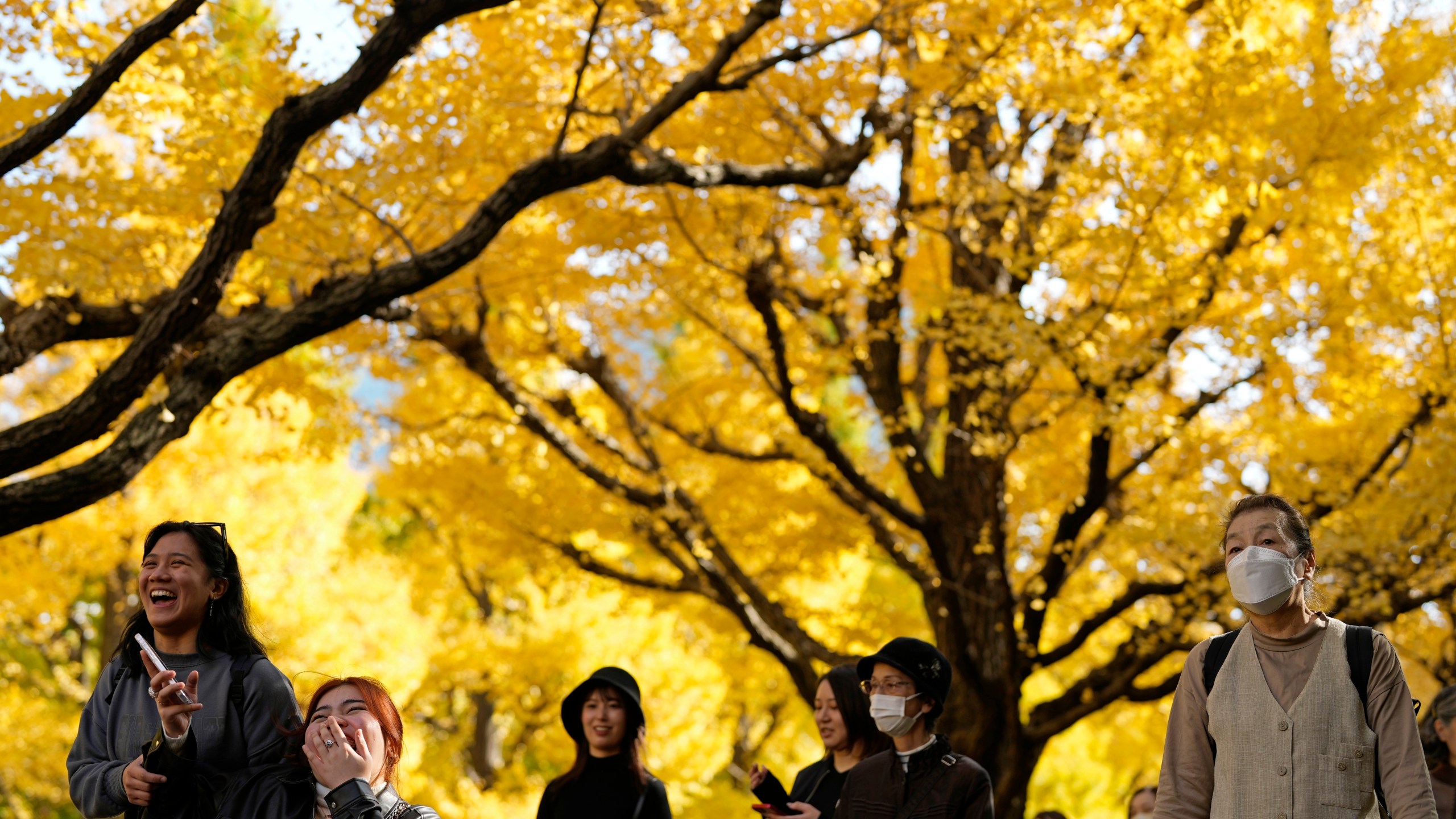FILE - People walk on an autumn-colored ginkgo tree-lined avenue in Tokyo, Nov. 27, 2024. (AP Photo/Shuji Kajiyama, File)