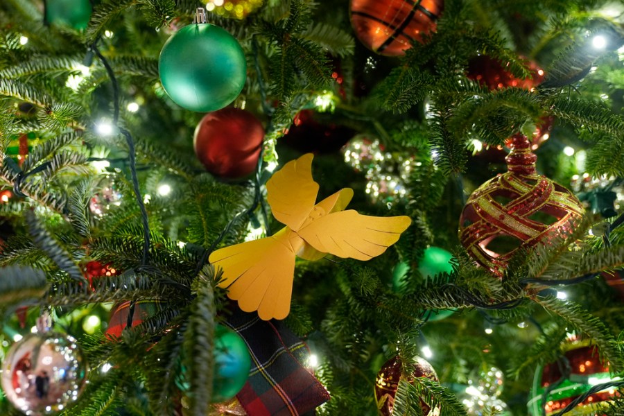 White House Christmas Decorations 2024