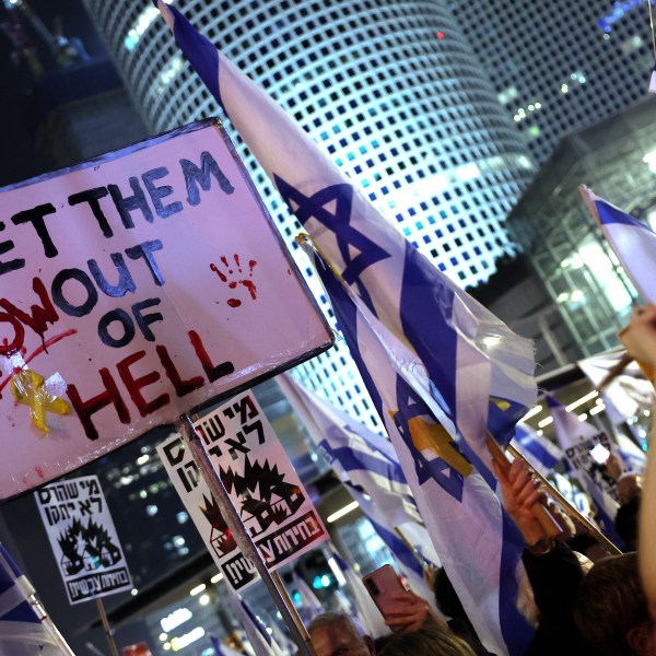 Demonstrators raise placards and wave flags during an anti-government protest.